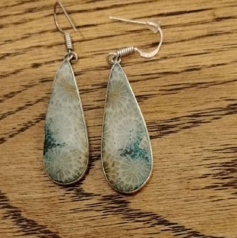 Fossilized Coral Elegant Teardrop Earrings